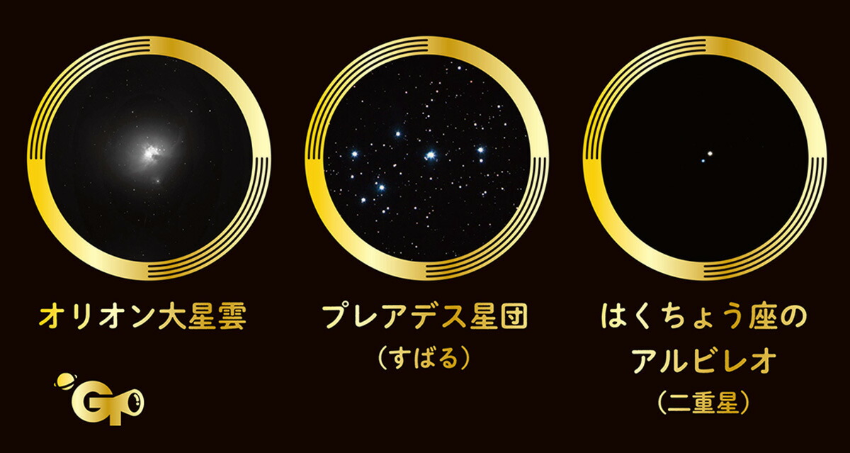 �ظ��βʳ�ŷ��˾��������¬Ķ���祭�å�[�ظ��βʳ��Խ���]