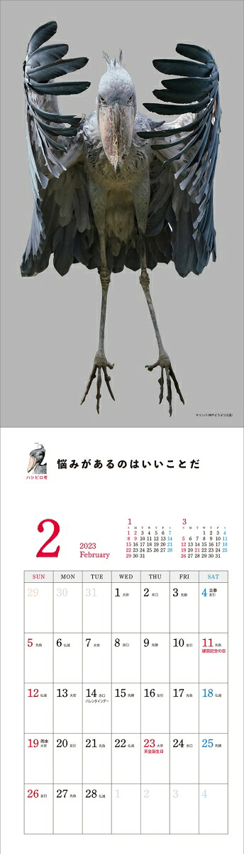 ハシビロコウカレンダー2023[南幅俊輔]