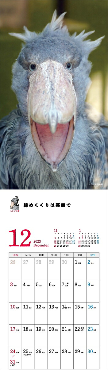 ハシビロコウカレンダー2023[南幅俊輔]