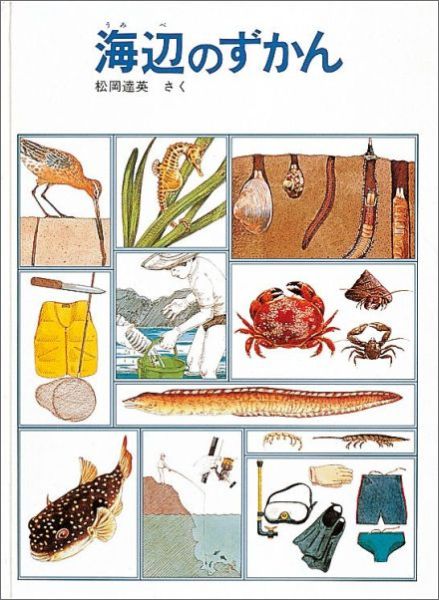 դΤʡۤβʳإ꡼[ã]