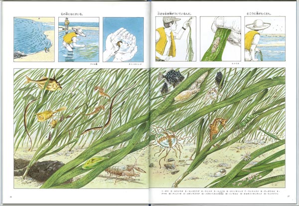 դΤʡۤβʳإ꡼[ã]