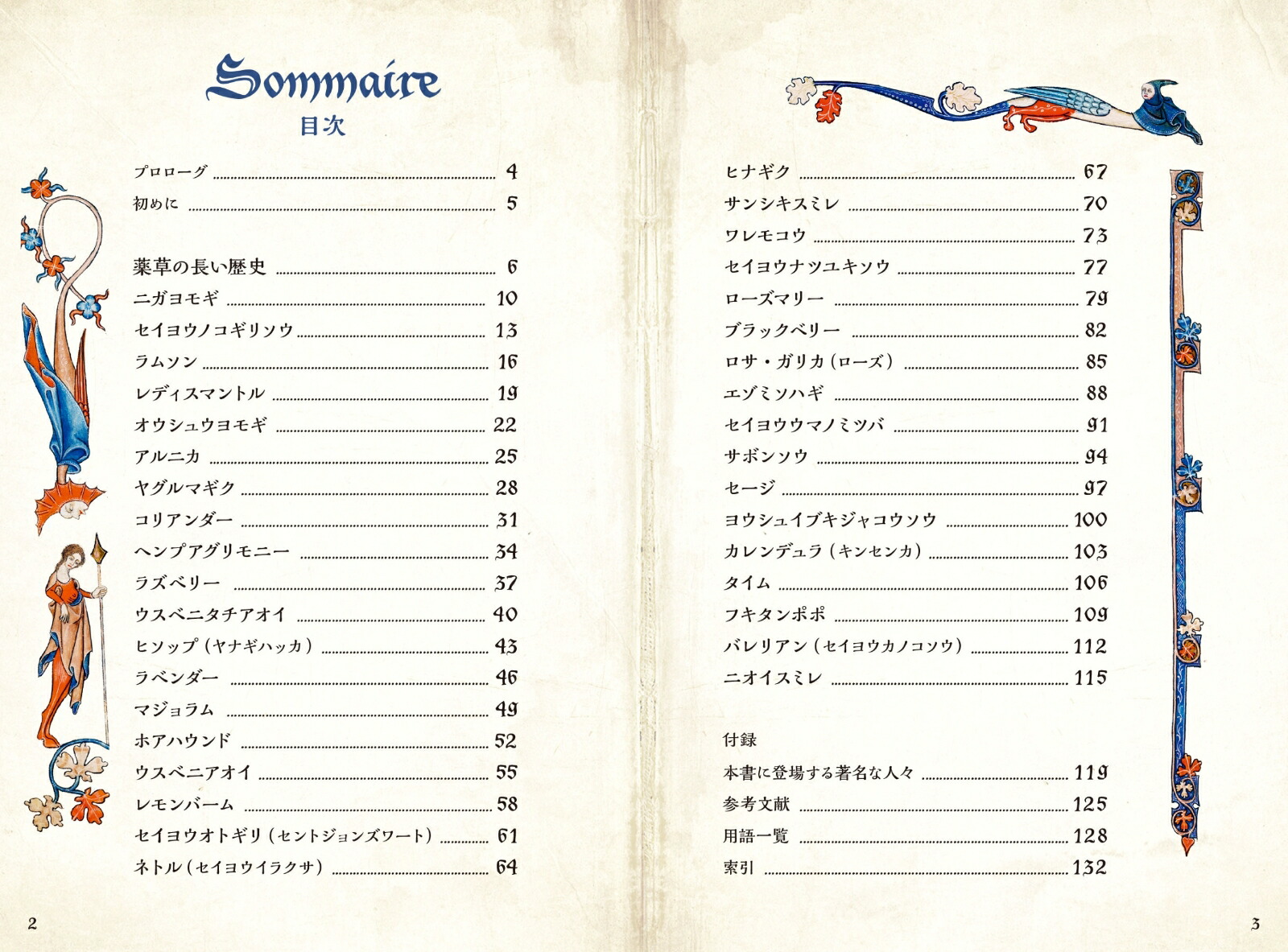 ���������������ŵ�����ȷäߤΥϡ��֡ʤҤߤĤ���ê���꡼����[���ꥫ���饤��]