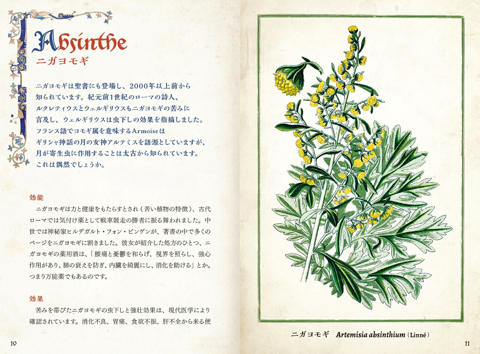 ���������������ŵ�����ȷäߤΥϡ��֡ʤҤߤĤ���ê���꡼����[���ꥫ���饤��]