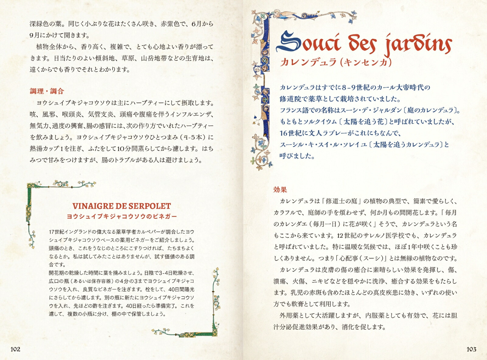 ���������������ŵ�����ȷäߤΥϡ��֡ʤҤߤĤ���ê���꡼����[���ꥫ���饤��]