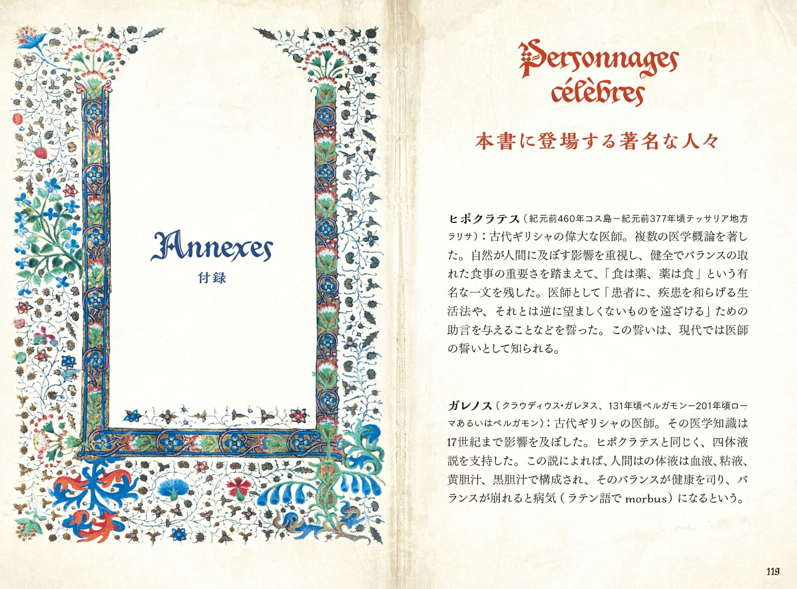 ���������������ŵ�����ȷäߤΥϡ��֡ʤҤߤĤ���ê���꡼����[���ꥫ���饤��]