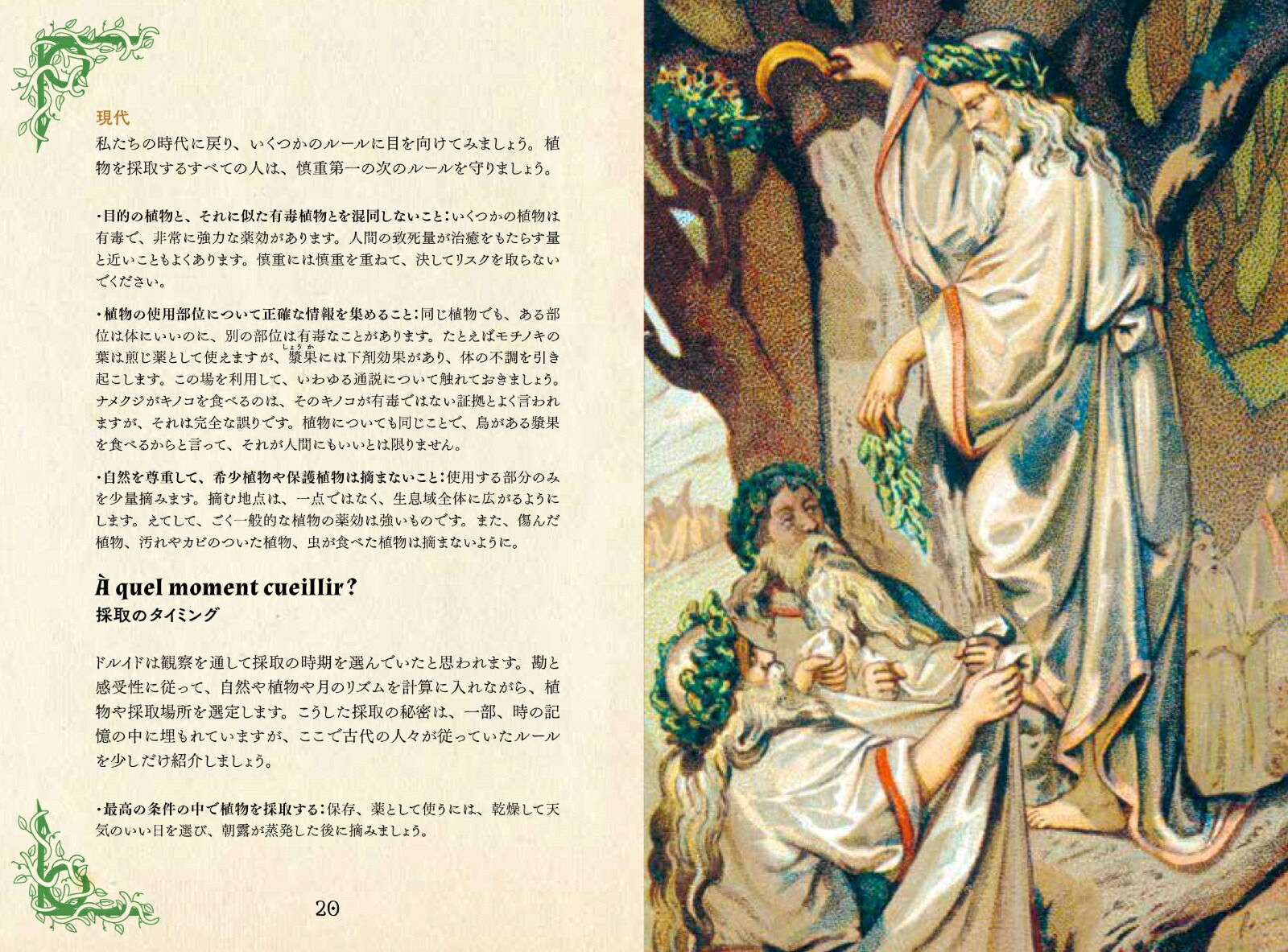 �ɥ륤�ɤΥϡ��ֻ�ŵ����Ȥθ��Ԥ���Ȣ�ʤҤߤĤ���ê���꡼����[�ե���󥹡���ݥ��]