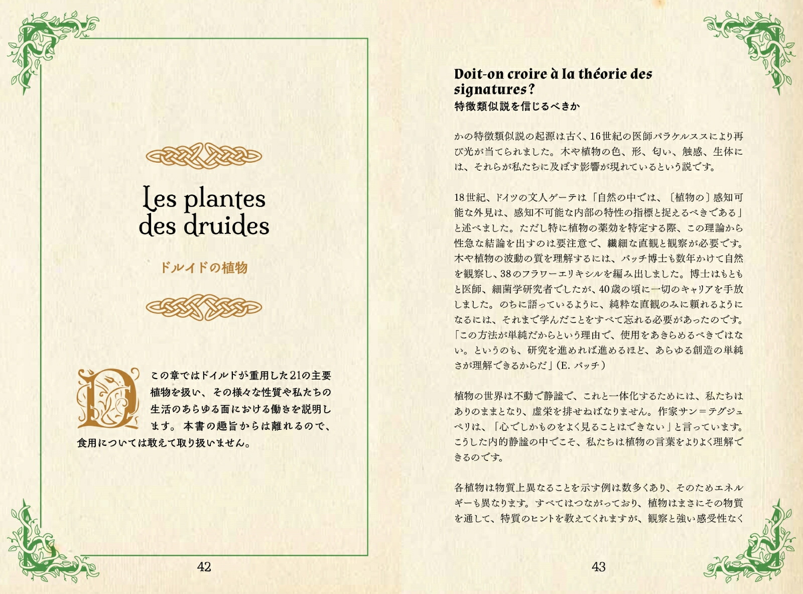 �ɥ륤�ɤΥϡ��ֻ�ŵ����Ȥθ��Ԥ���Ȣ�ʤҤߤĤ���ê���꡼����[�ե���󥹡���ݥ��]