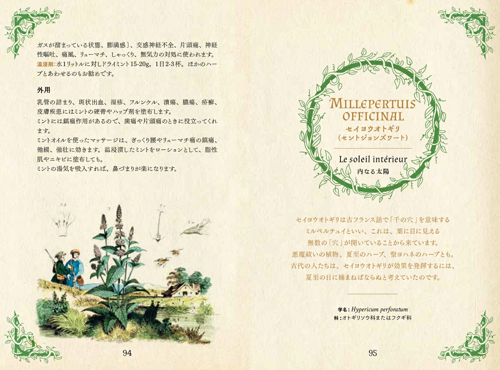 �ɥ륤�ɤΥϡ��ֻ�ŵ����Ȥθ��Ԥ���Ȣ�ʤҤߤĤ���ê���꡼����[�ե���󥹡���ݥ��]