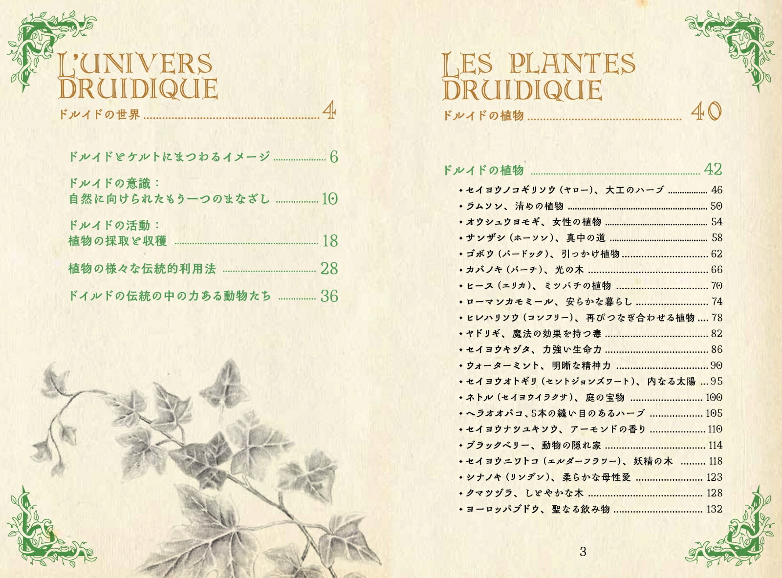 �ɥ륤�ɤΥϡ��ֻ�ŵ����Ȥθ��Ԥ���Ȣ�ʤҤߤĤ���ê���꡼����[�ե���󥹡���ݥ��]