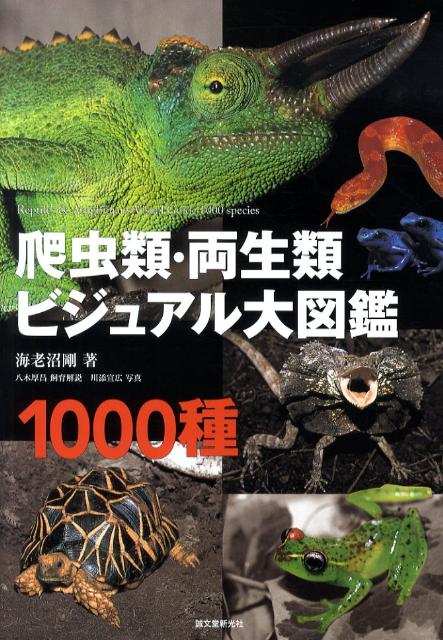 楽天ブックス 爬虫類 両生類ビジュアル大図鑑 1000種 海老沼剛 本