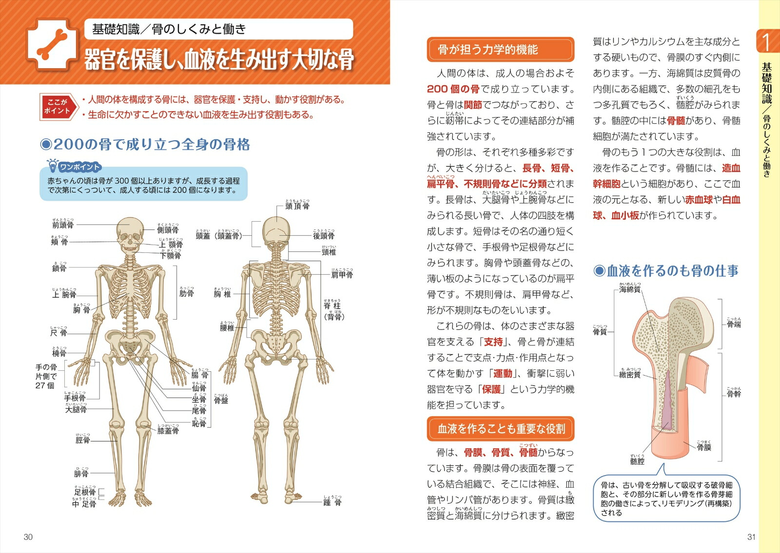 楽天ブックス 高齢者の体の変化と病気がわかる解剖生理学 竹内 修二 本 楽天ブックス 高齢者の体の変化と病気がわかる解剖生理学 竹内 修二 本