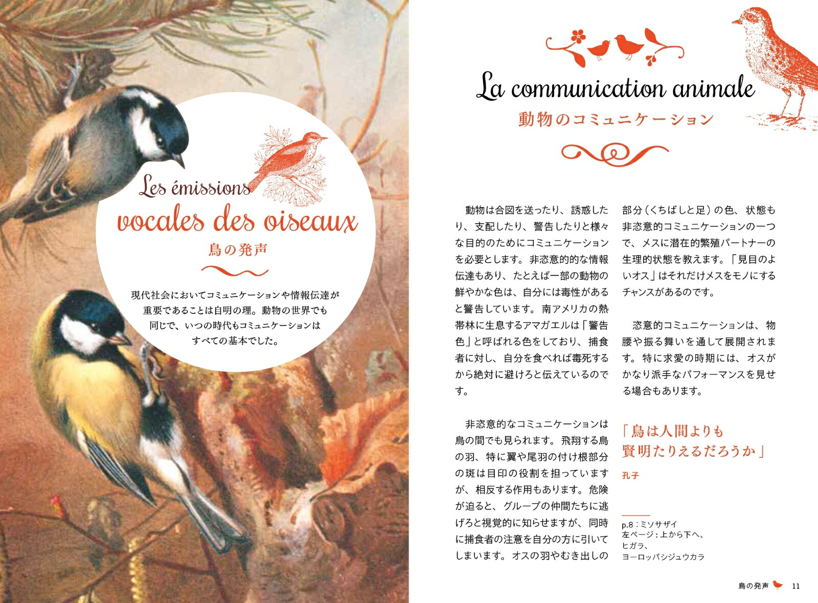 ��Ļ�Τ��������ŵ�Ĥ����ο������ʤҤߤĤ���ê���꡼����[����ࡦ�륵�ե�]