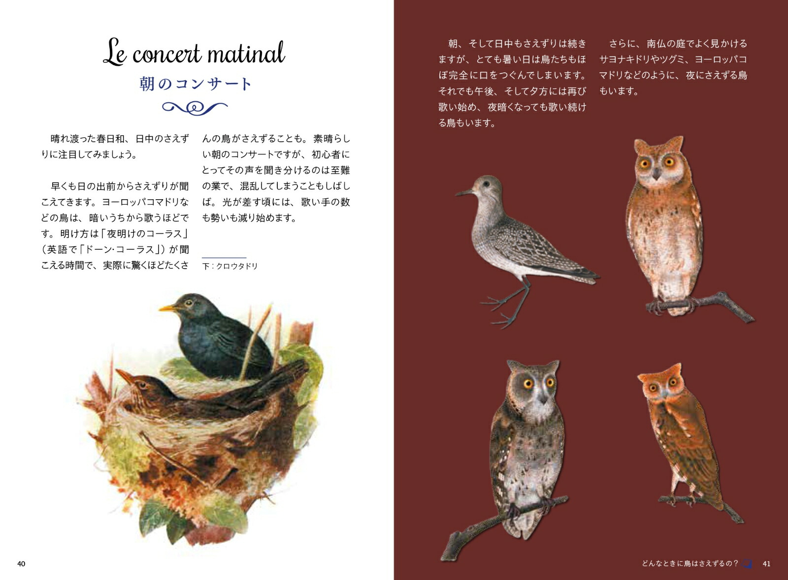 ��Ļ�Τ��������ŵ�Ĥ����ο������ʤҤߤĤ���ê���꡼����[����ࡦ�륵�ե�]