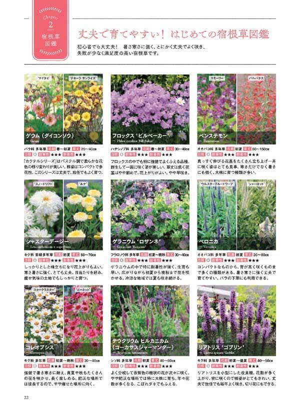 楽天ブックス 咲かせたい 四季の宿根草で庭づくり 日陰 酷暑 悪条件を解決 荻原 範雄 本