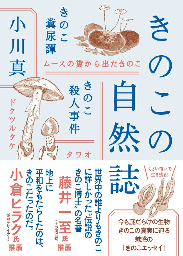 楽天市場】エントリーで全品ポイント10倍NHKスペシャル きのこ雲