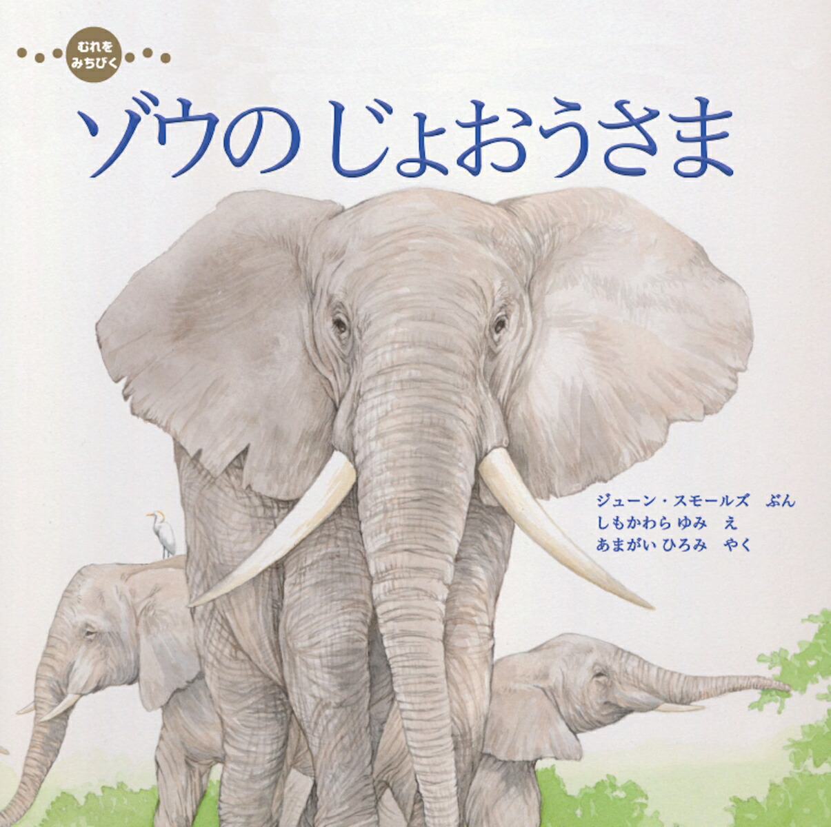 ����ߤ��Ӥ������Τ��礪�����ޡ�imaginationunlimited��[���塼�󡦥��⡼�륺]