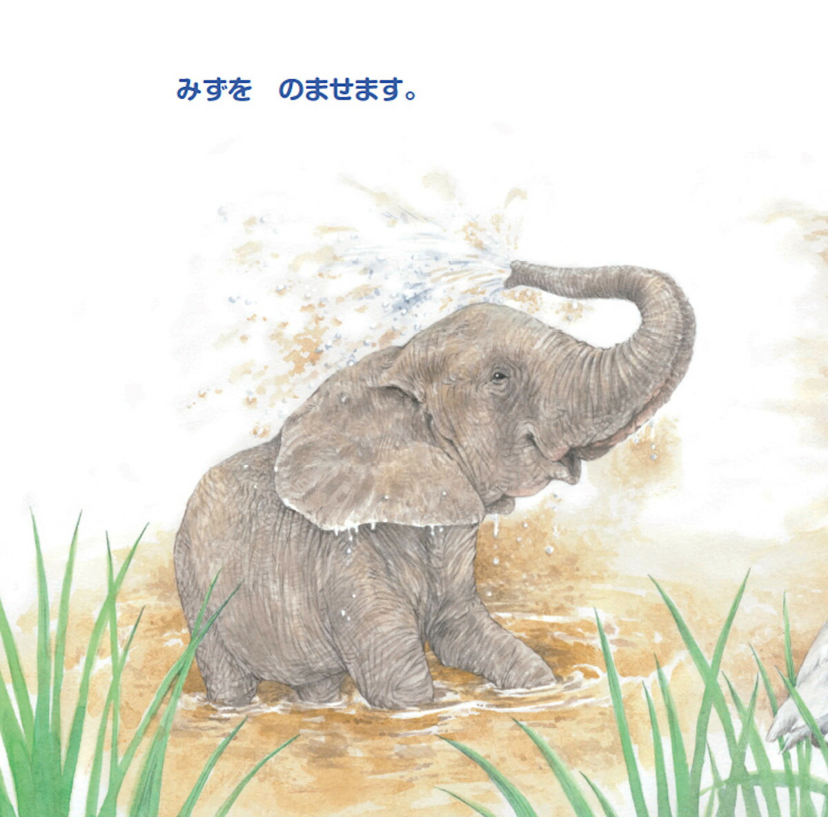 ����ߤ��Ӥ������Τ��礪�����ޡ�imaginationunlimited��[���塼�󡦥��⡼�륺]