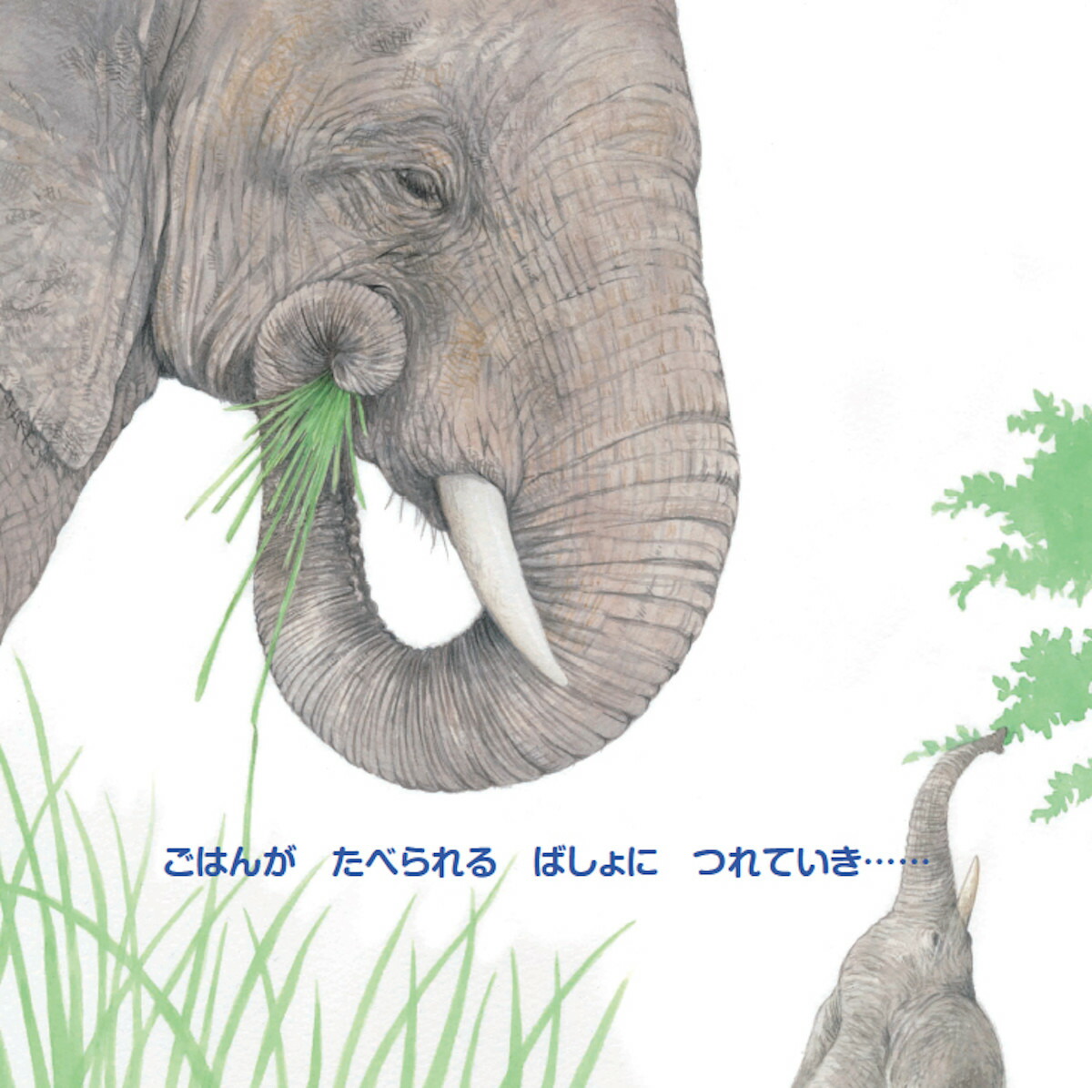 ����ߤ��Ӥ������Τ��礪�����ޡ�imaginationunlimited��[���塼�󡦥��⡼�륺]