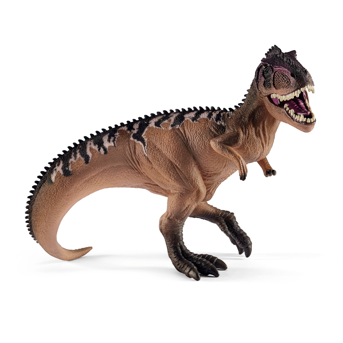 15010　ギガノトサウルス（ブラウン）　【シュライヒ】　DINOSAURS/恐竜画像