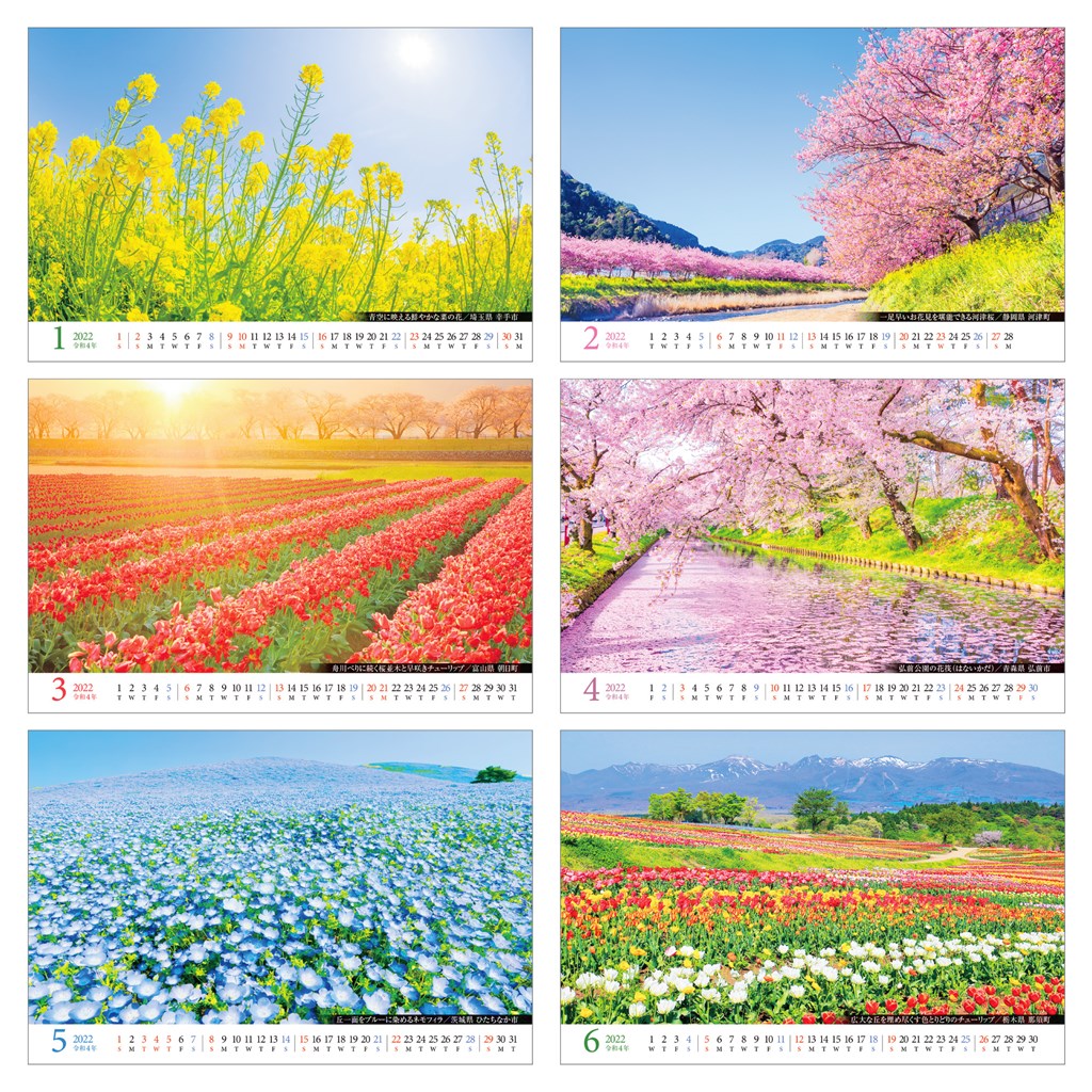 楽天ブックス 楽天ブックス限定特典 日本一美しい花風景を散歩する 22年 カレンダー 卓上 風景 特典データ Pc スマホ壁紙 バーチャル背景 に最適なdl画像 本