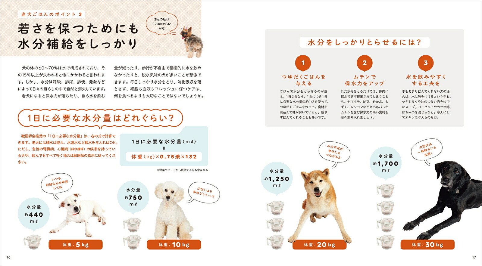 7歳からの老犬ごはんの教科書 シニア期の愛犬の体調や病気に合わせた食材選び 手軽な調理法 与え方の基本がわかる 俵森 朋子