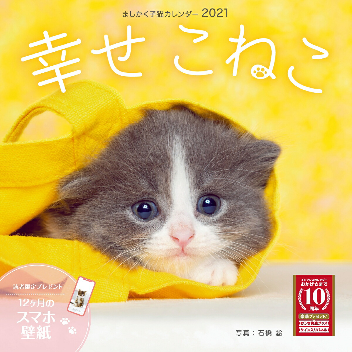 楽天ブックス ましかく子猫カレンダー幸せこねこ 21 本