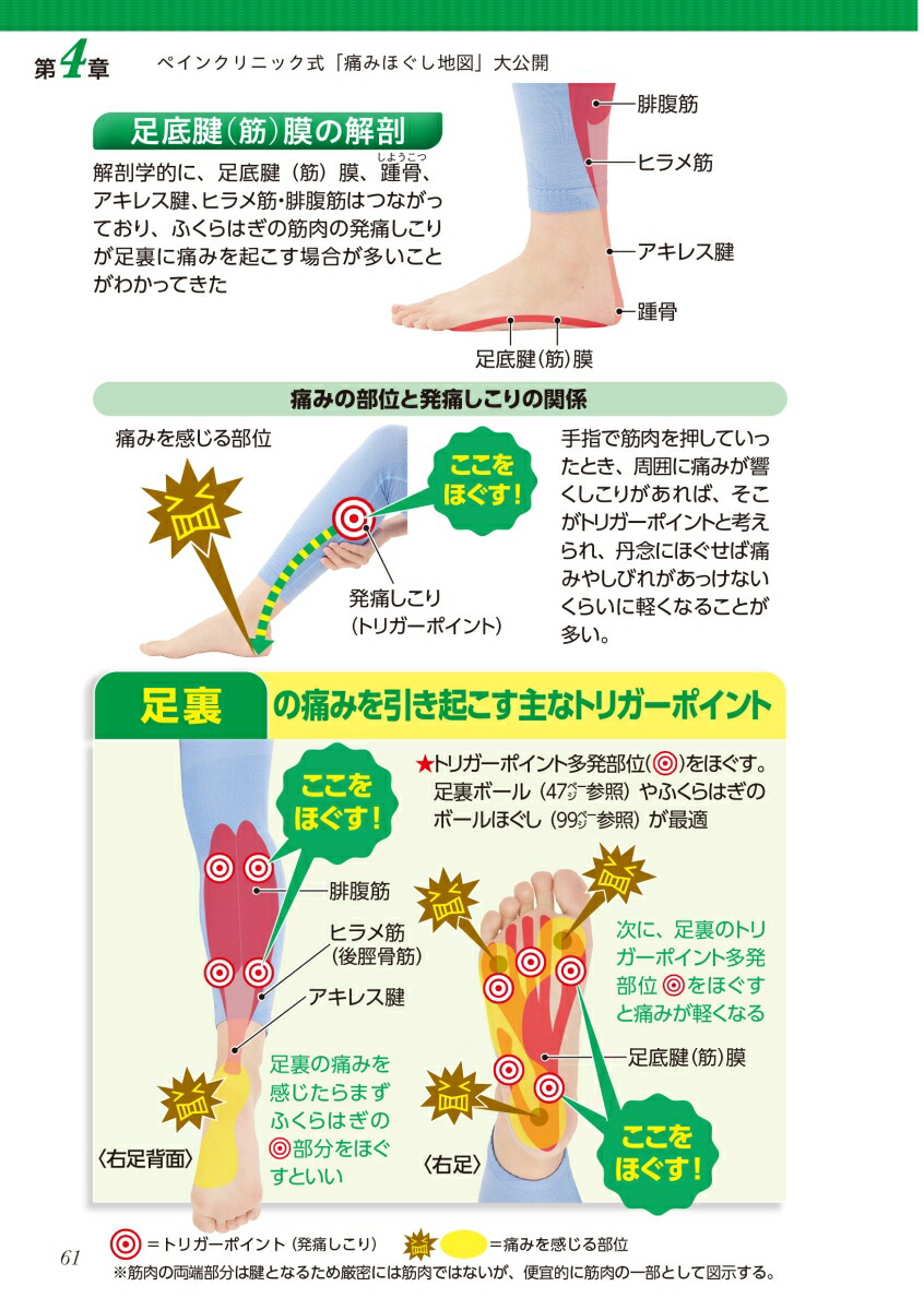 ˤʬǼ롪ΩˤߤۤϿ[̸]