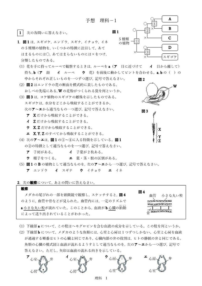 令和8年度熊本県中学校共通テスト（熊本県共通テスト）