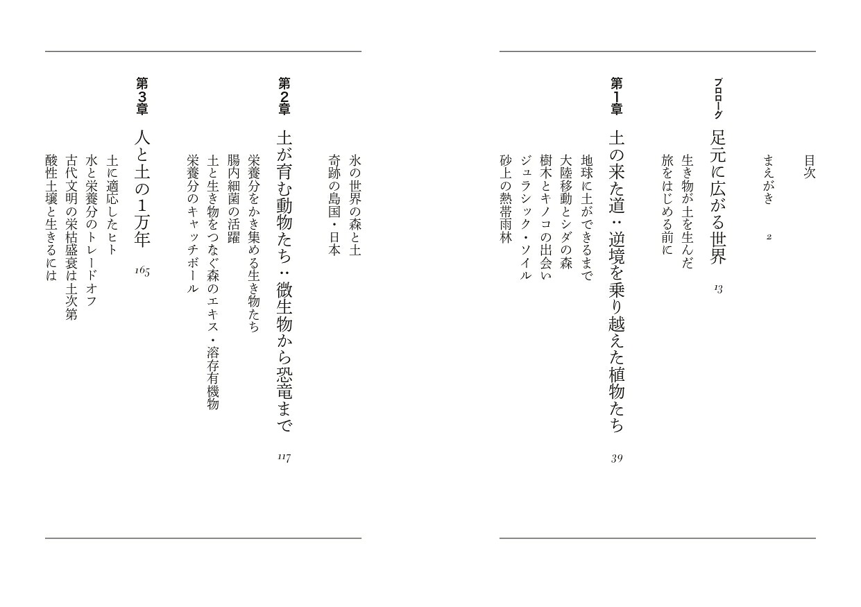 大地の五億年（ヤマケイ文庫）[藤井一至]