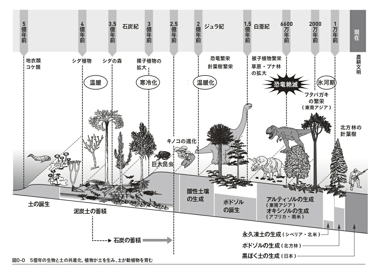 大地の五億年（ヤマケイ文庫）[藤井一至]