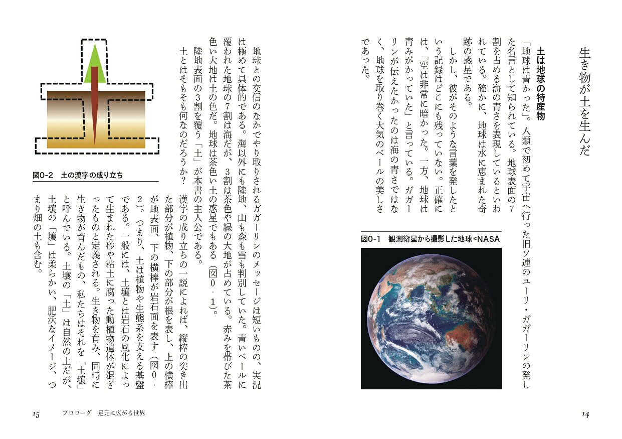 大地の五億年（ヤマケイ文庫）[藤井一至]