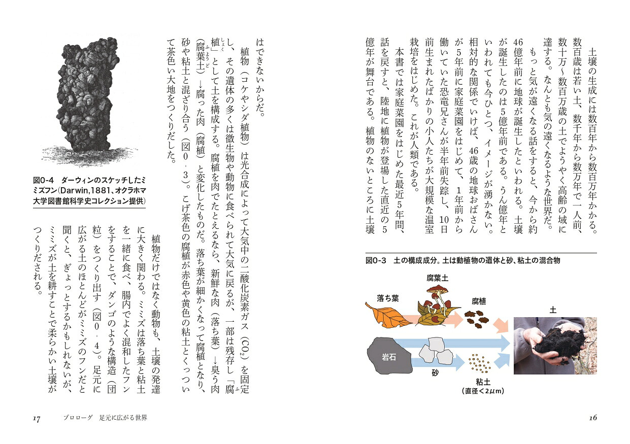 大地の五億年（ヤマケイ文庫）[藤井一至]