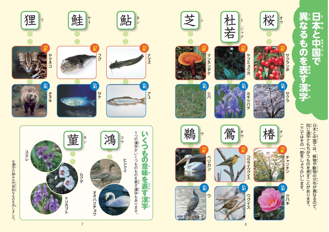 新レインボー小学漢字辞典 改訂第6版 小型版（オールカラー） （小学生 