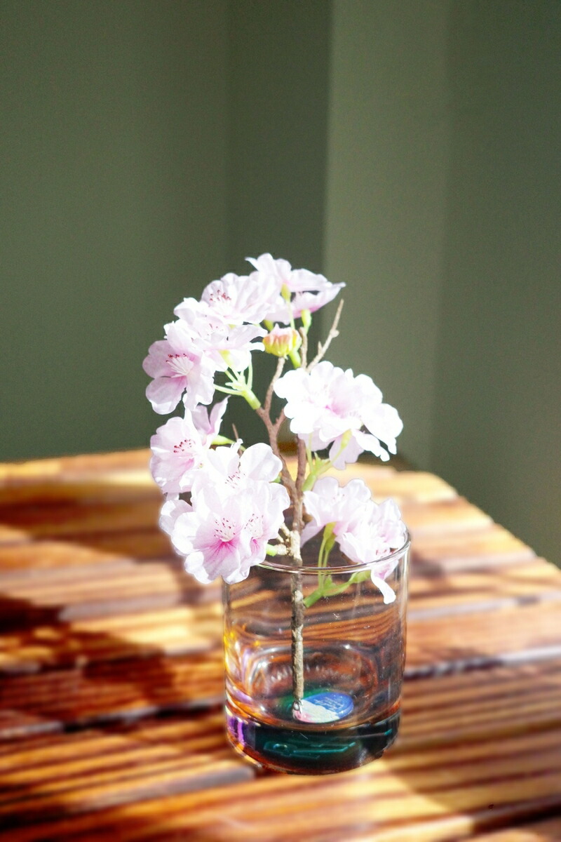 LIVETOUR2025THANKYOUSOMUCH!!(Blu-ray+BonusDISC(Blu-ray)+SpecialGoods)Blu-ray[󥪡륹]