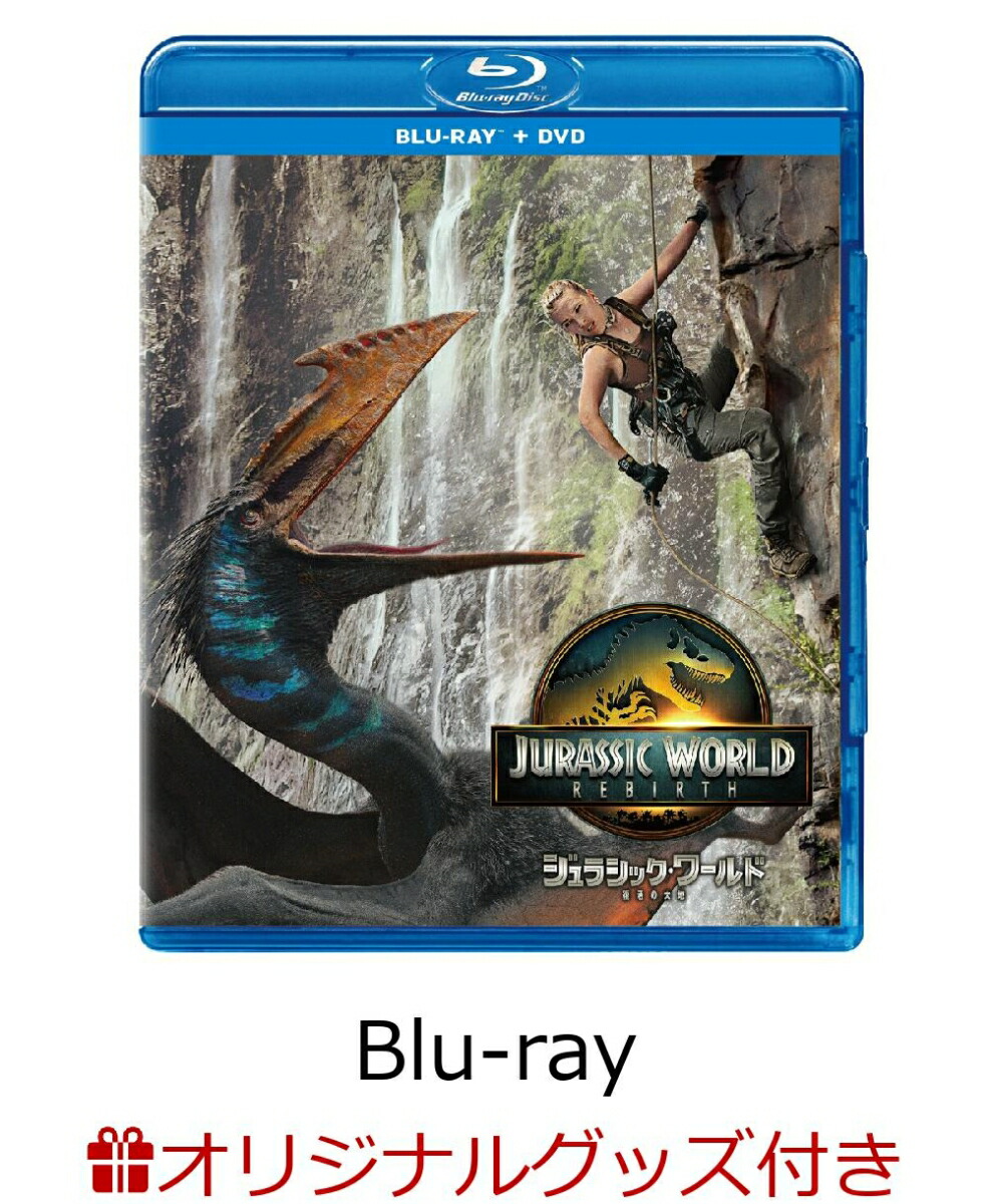 【A賞】一番くじ ゴジラエヴォルヴver.（2024） SOFVICS A賞 ゴジラエヴォルヴver.（2024） SOFVICS (フィギュア) 】 一番くじ