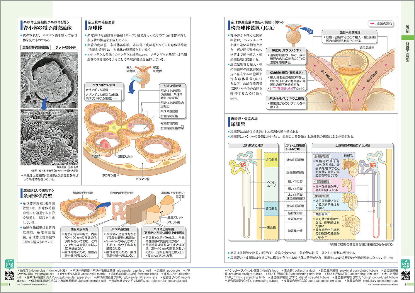 µߤvol.8˿աǢ[žʳظ]