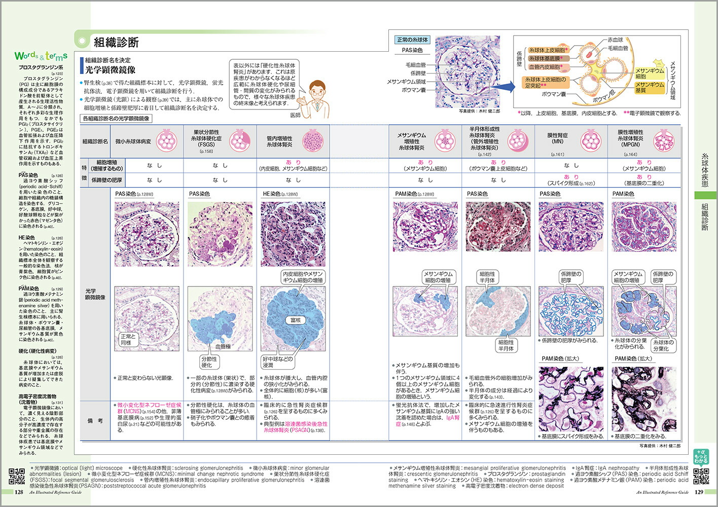 µߤvol.8˿աǢ[žʳظ]