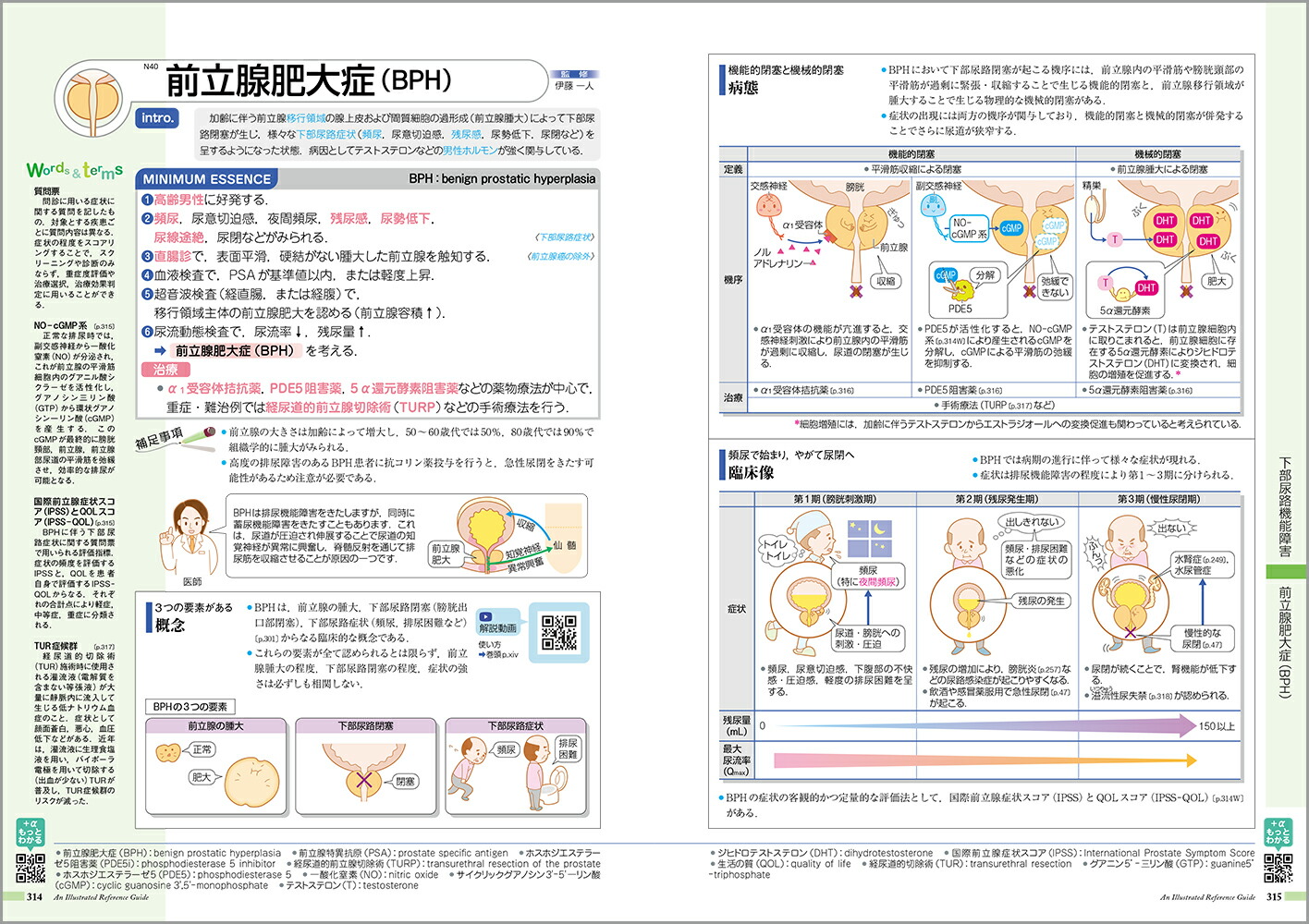 µߤvol.8˿աǢ[žʳظ]
