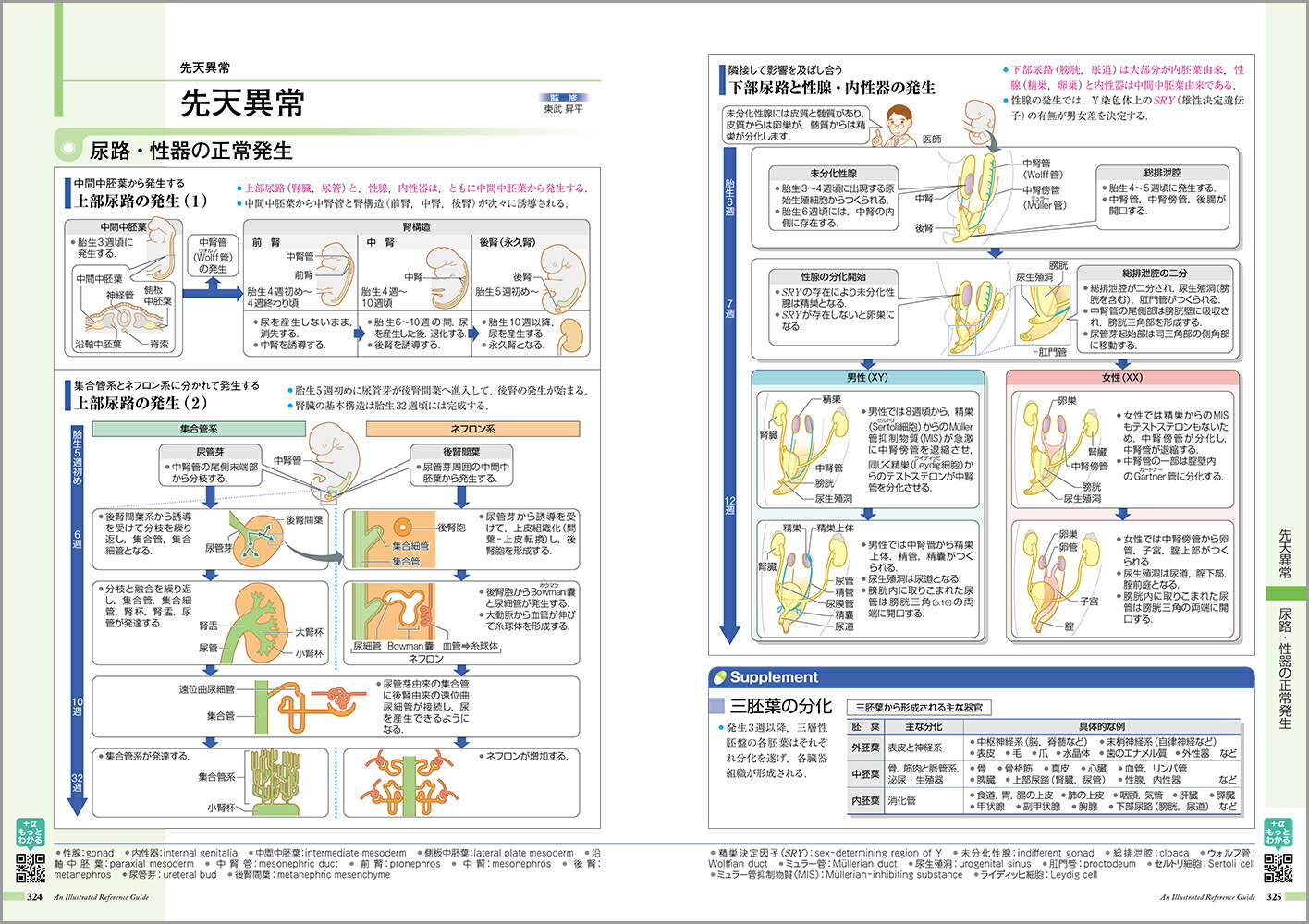 µߤvol.8˿աǢ[žʳظ]