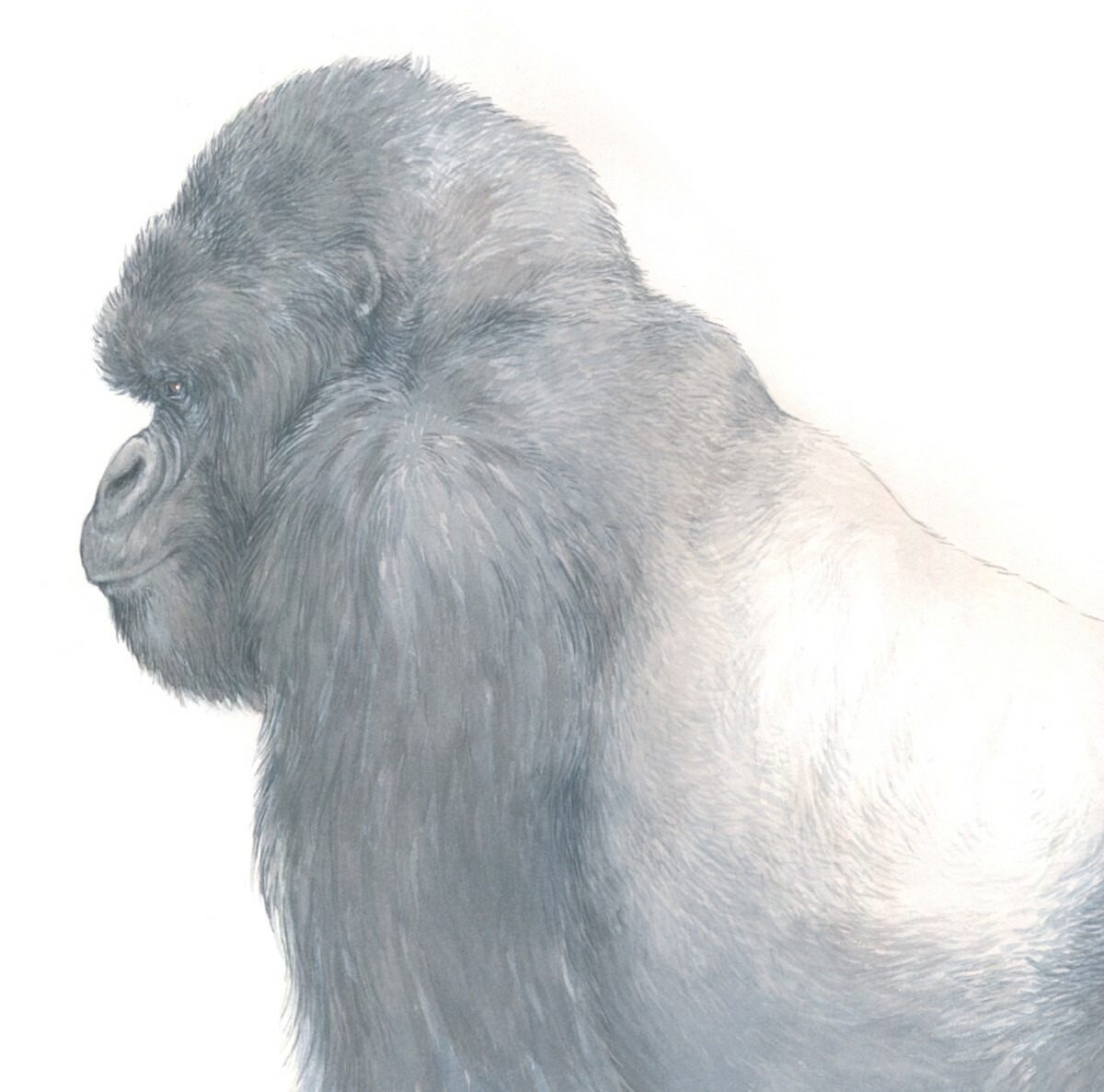 ����ߤ��Ӥ������Τ������ޡ�imaginationunlimited��[���塼�󡦥��⡼�륺]