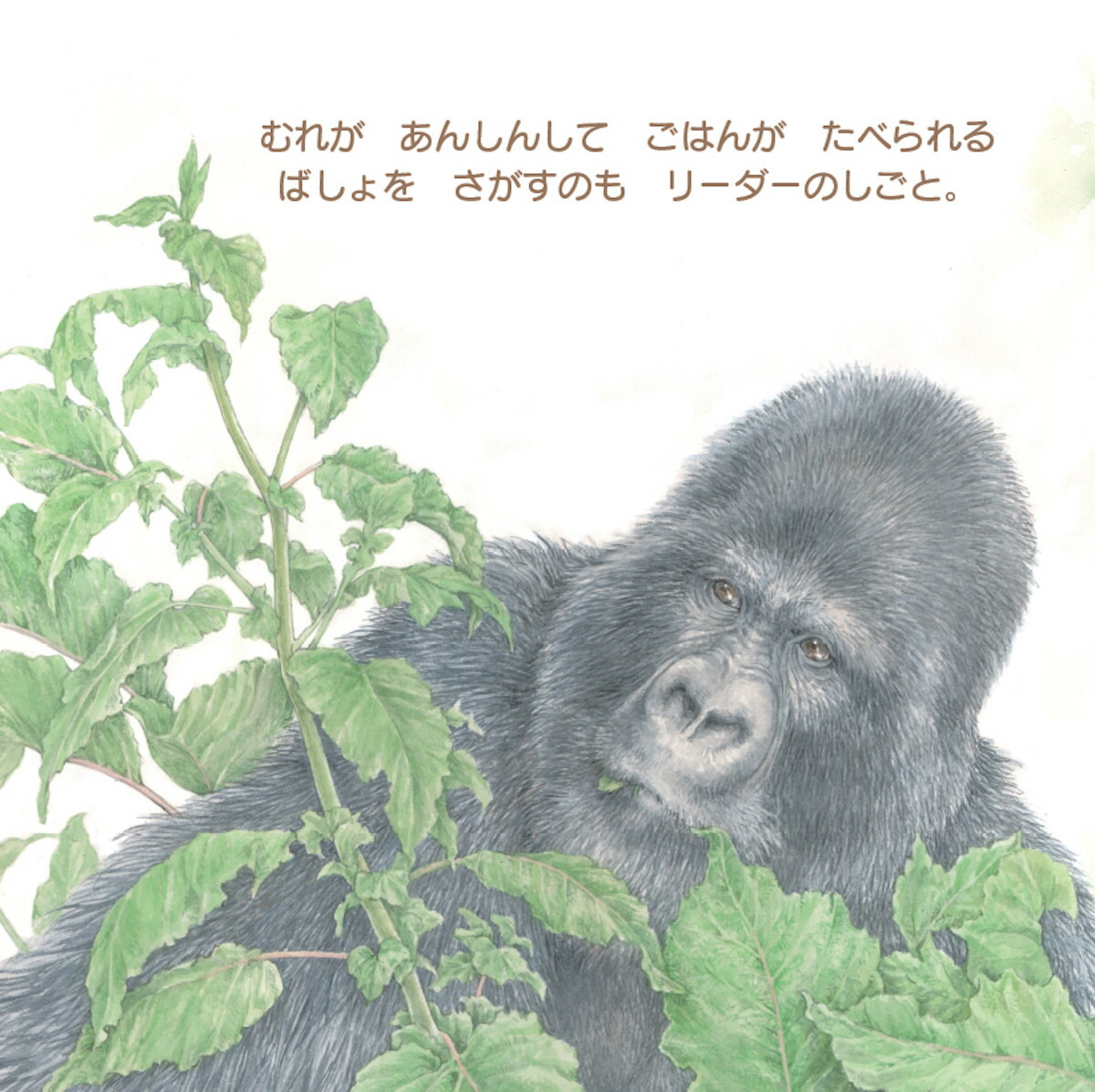 ����ߤ��Ӥ������Τ������ޡ�imaginationunlimited��[���塼�󡦥��⡼�륺]