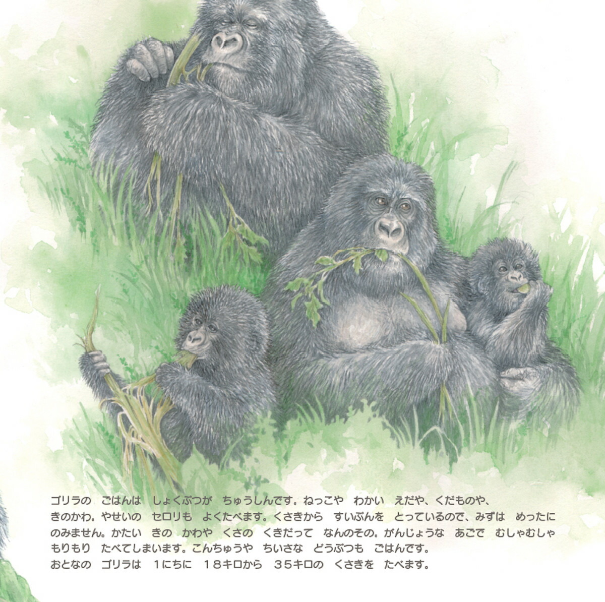 ����ߤ��Ӥ������Τ������ޡ�imaginationunlimited��[���塼�󡦥��⡼�륺]