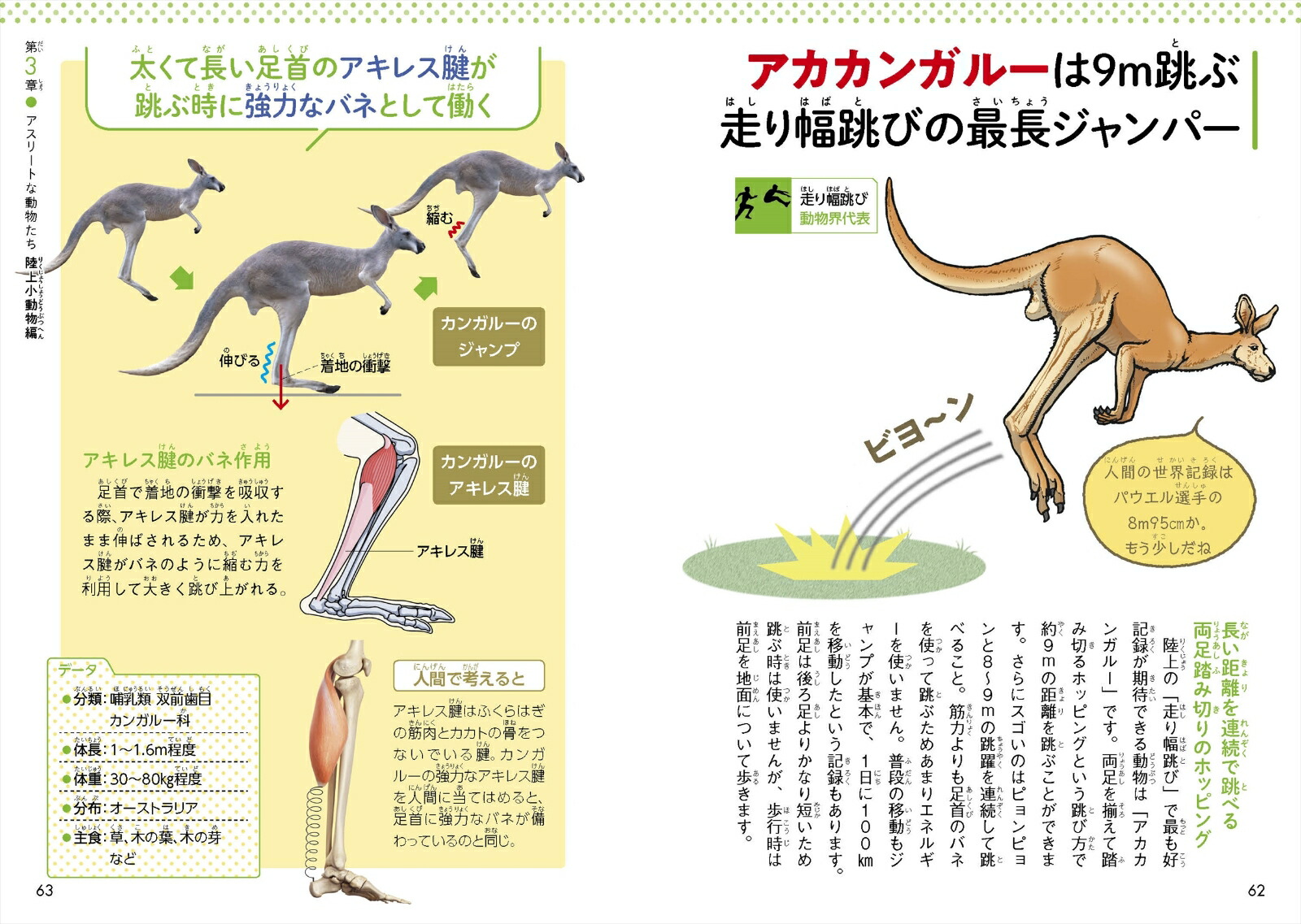 楽天ブックス 驚きの身体能力 アスリートな動物図鑑 成島 悦雄 本