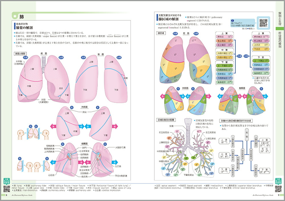 �µ����ߤ����vol.4�˸Ƶ۴�[���ž���ʳظ����]