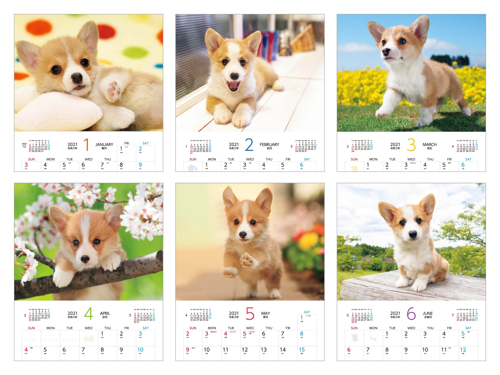 楽天ブックス 癒やしのウェルシュ コーギーカレンダー 21 本
