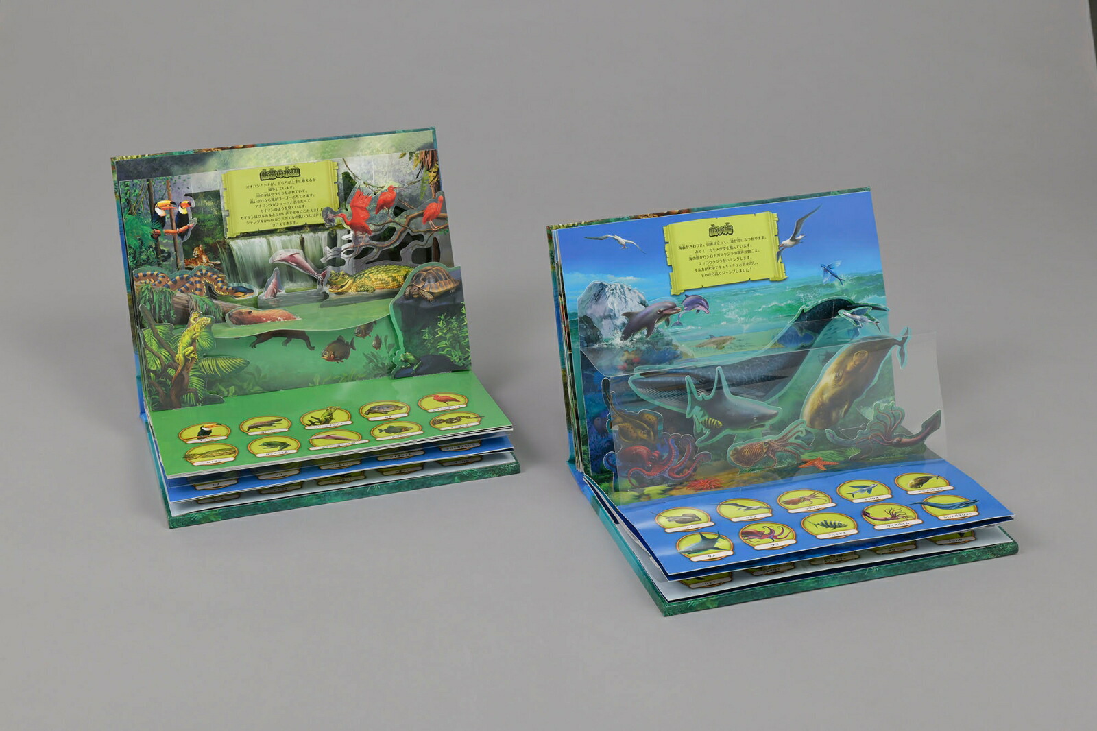 海の鳴き声[AZブックス]