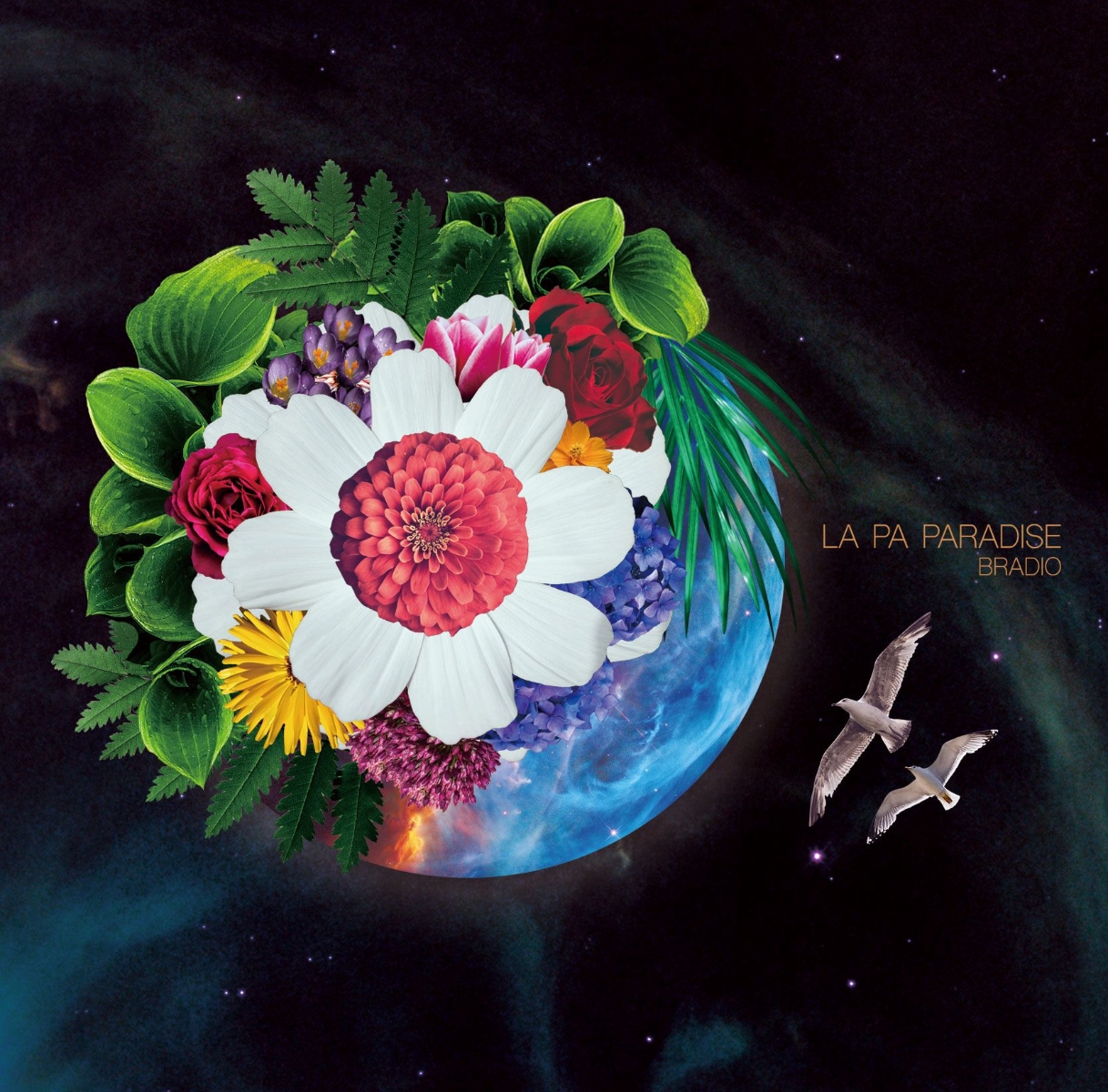 楽天ブックス: LA PA PARADISE (初回限定盤 CD＋DVD) - BRADIO