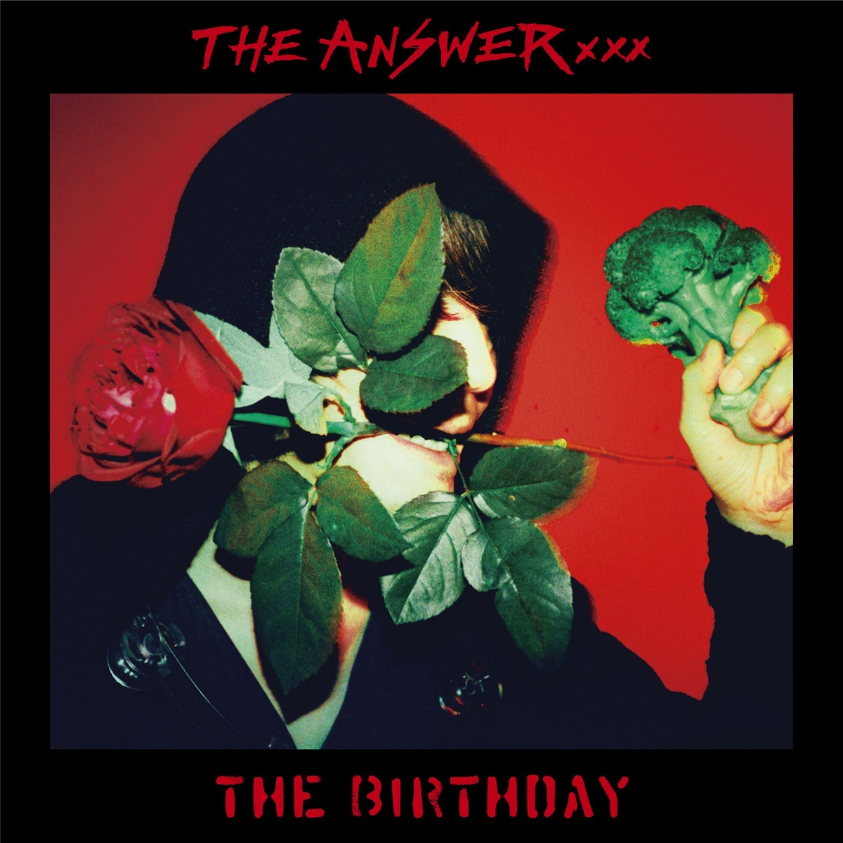 楽天ブックス The Answer 初回限定盤 Cd Dvd The Birthday Cd