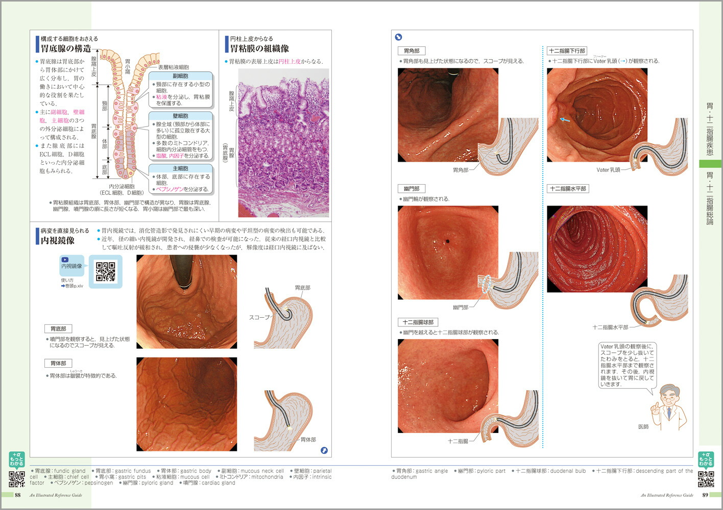 �µ����ߤ����vol.1�˾ò���[���ž���ʳظ����]