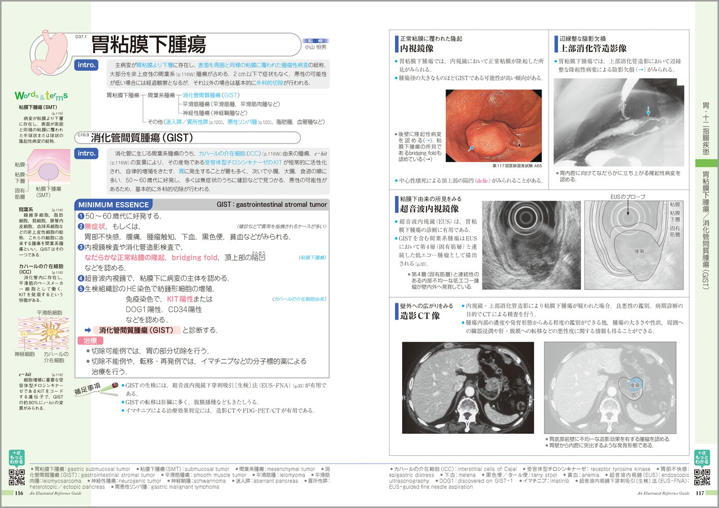 �µ����ߤ����vol.1�˾ò���[���ž���ʳظ����]